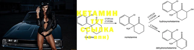 дмт Вязьма