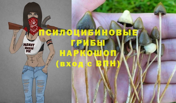 дмт Вязьма