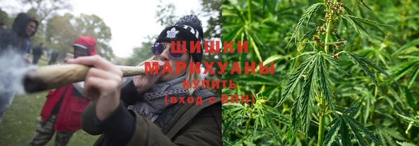 PSILOCYBIN Волосово